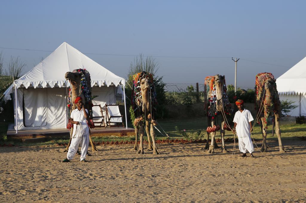 Pushkar Adventure Desert Camp Exterior foto